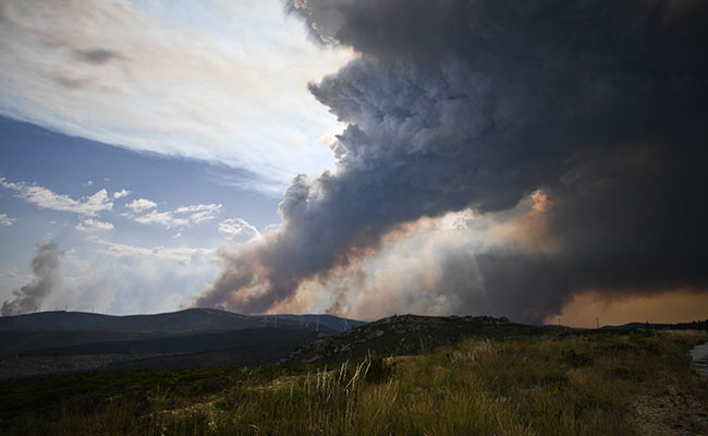 Foto: AFP