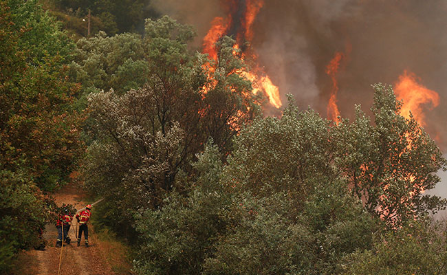 Foto: Reuters