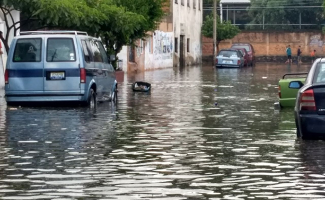 Foto: Román Ortega