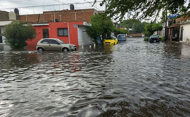 Foto: Román Ortega