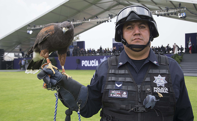 Foto: Especial