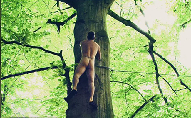 Foto: captura de video