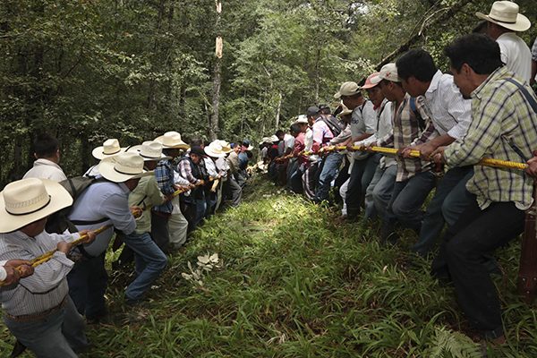 Foto: Erik Guzmán