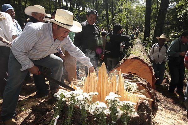 Foto: Erik Guzmán