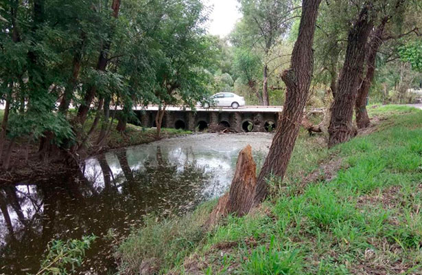 Preocupa el agua estancada y la presencia de moquitos en el río.