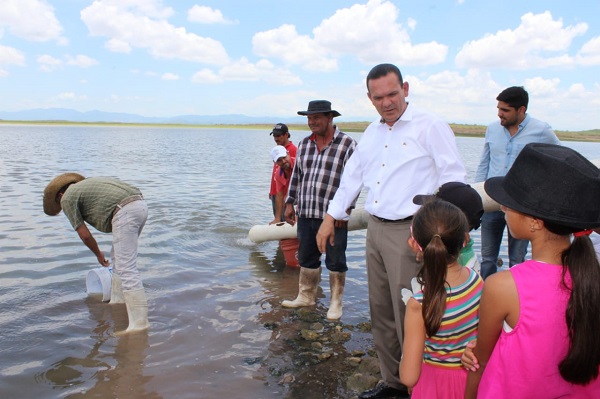 Siembran medio millón de alevines de tilapia en dique de Los Pobres