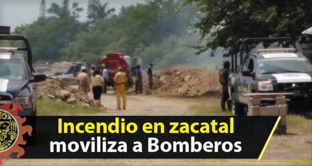 Incendio en zacatal moviliza a Bomberos