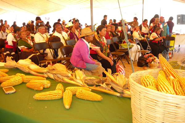San Felipe Cuauhtenco fue sede de la Primera Feria de la Biodiversidad Indígena, que se desarrolló para promover el cultivo de maíz nativo de la región. / Armando PEDROZA