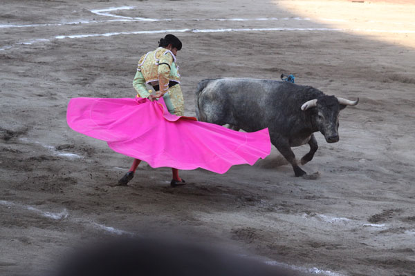 Angelino de Arriaga brindó el toro a su extinto padre Joaquín “El Pulques” Angelino
