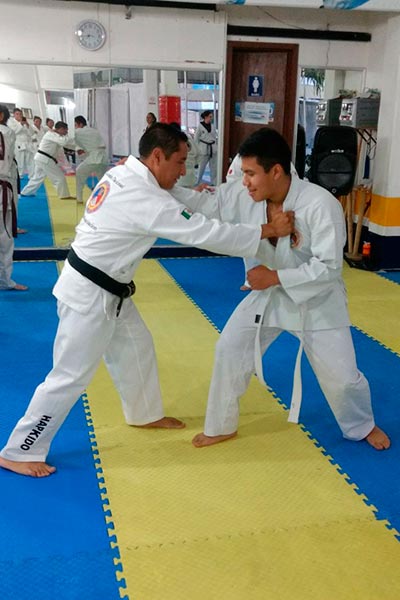 “El hapkido es altamente efectivo en la defensa personal ya que no requiere fuerza sino el uso correcto de técnica para poder derribar a una persona, incluso aunque lo supere por peso y estatura” Sergio Alejandro Morales Bravo Entrenador . / Everardo NAVA