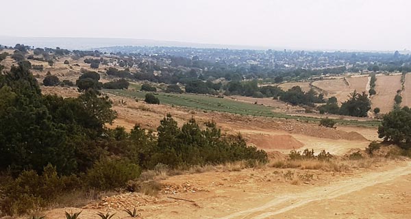 Pese a contar con un clima semiárido, con régimen de lluvias en los meses de julio a septiembre, los hombres del campo aseguraron que, de acuerdo con investigaciones científicas, los nutrientes de estas tierras han propiciado que la zona sea apta para producir los mejores frutos del país. / Leonel TLALMIS