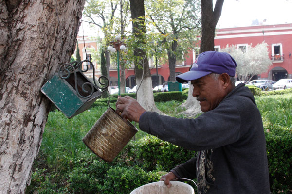 Don Francisco Palacios es el encargado de alimentar y proteger a mamíferos roedores que dan vida al parque de la ciudad capital. / Tomás BAÑOS