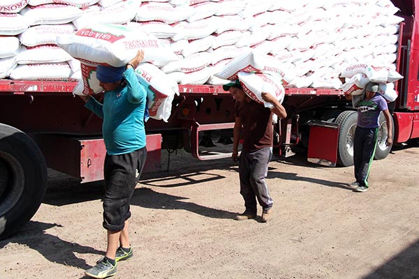 A través del Programa de Apoyo e Impulso al Sector Agrícola, desde marzo a la fecha, se han distribuido ocho mil 626 toneladas de fertilizante químico. / EL SOL DE TLAXCALA