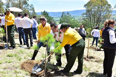Al final del acto protocolario autoridades y brigadistas se trasladaron a sembrar varias decenas de árboles en la zona de Xochitécatl. / Héctor LORENZO