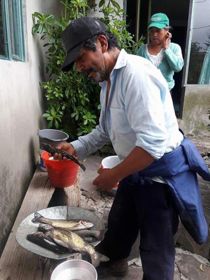 San José Villarreal, municipio de Terrenate, es el único lugar donde producen trucha arcoíris a menos de cinco grados Celsius. / Tomás BAÑOS