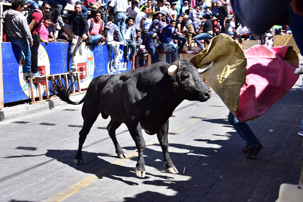 No faltaron los toreros espontáneos que hicieron gala de sus habilidades dentro del circuito del Pueblo Mágico. / Héctor LORENZO