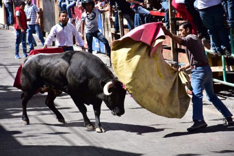 Funcionan medidas: saldo blanco en la Huamantlada