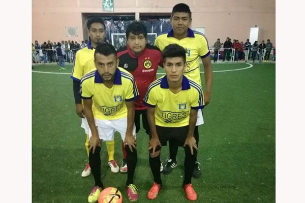 TIGRES