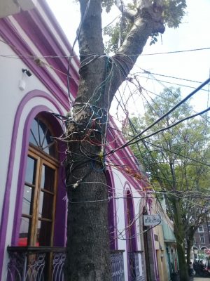 Foto cortesía