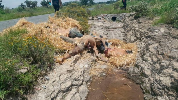 Multihomicidio en Tepetlaoxtoc y Axapusco