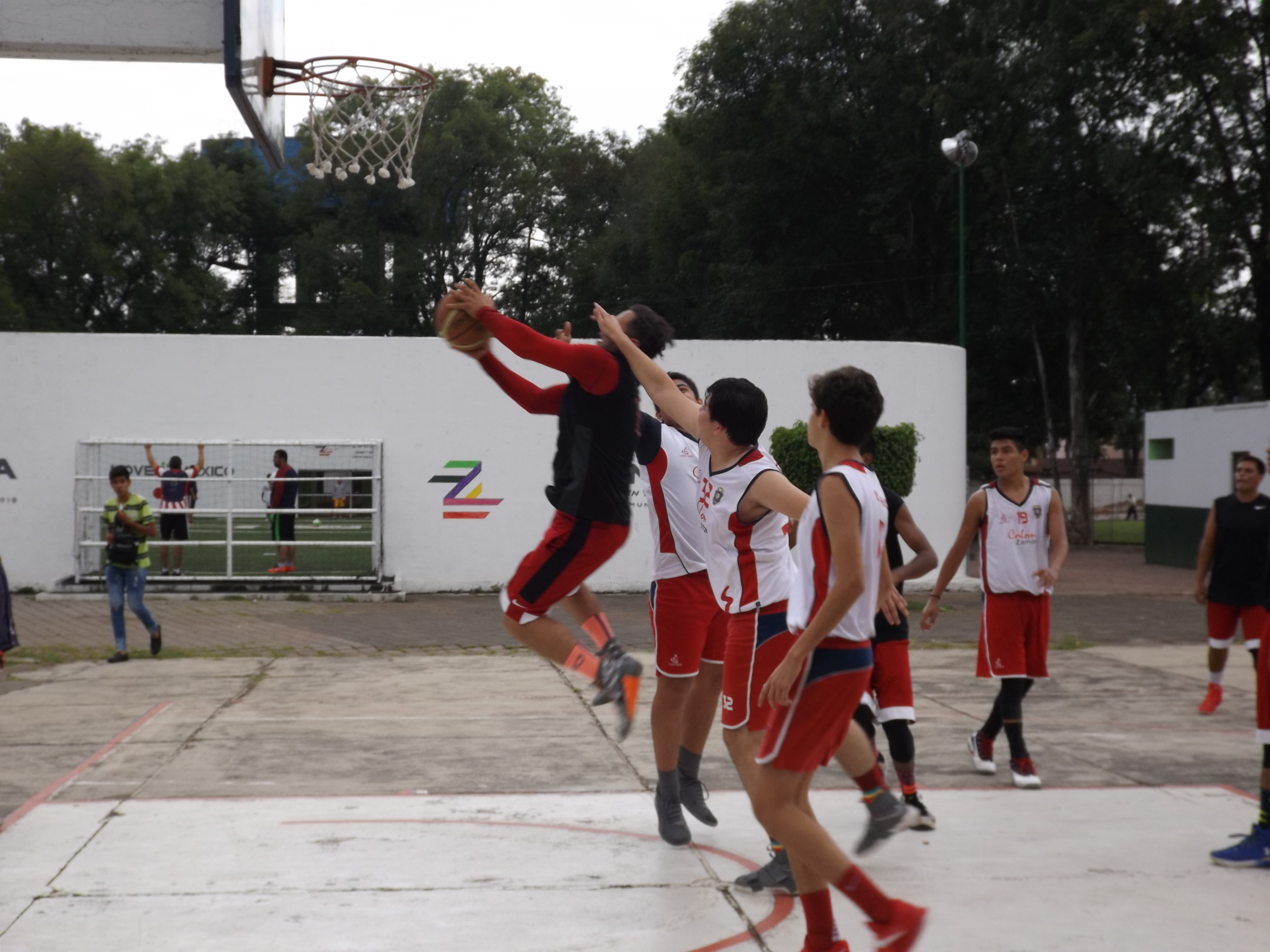 2109ZORROS (3)