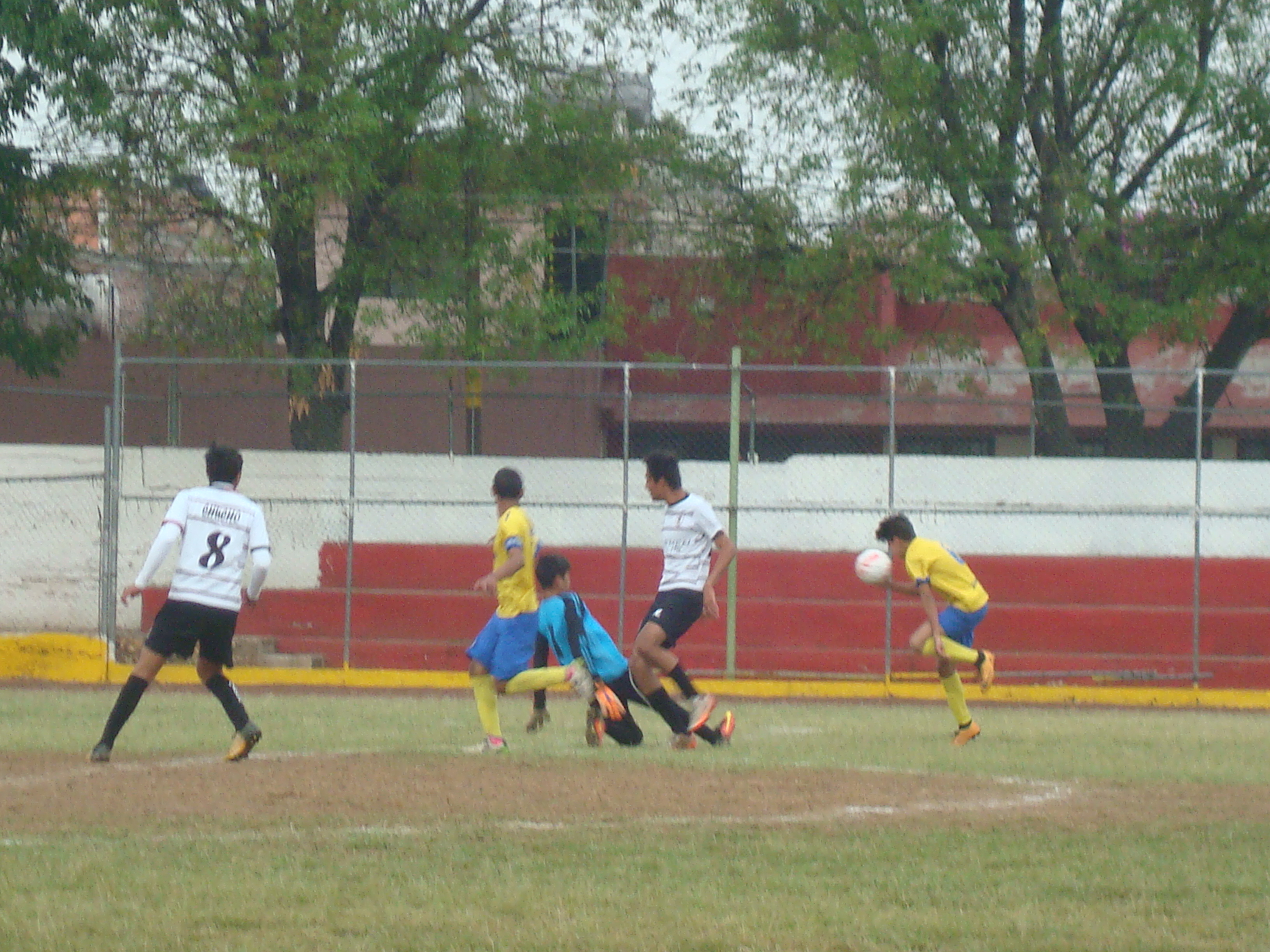 0302AJAX (3)