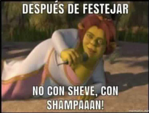 Meme a senadora