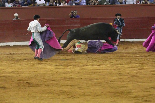 Torero Sergio Flores podría perder el brazo izquierdo tras cornada
