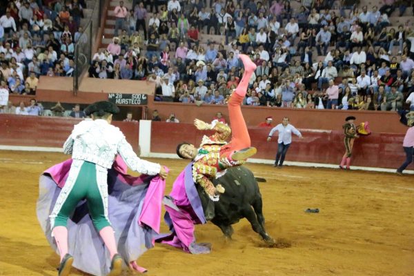 VIDEO Torero sufre aparatosa cornada en SLP VIDEO Torero sufre aparatosa cornada en SLP
