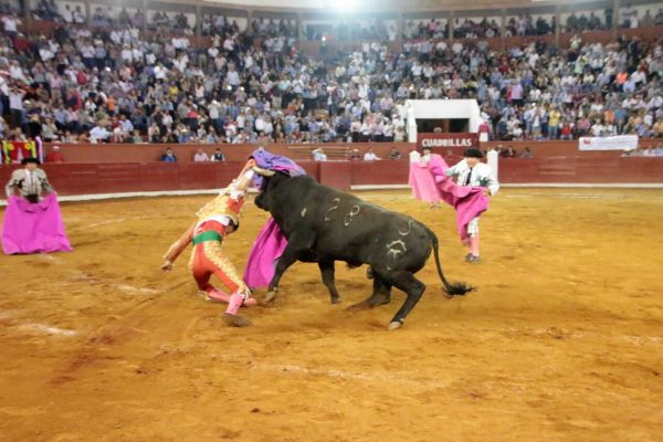 Torero Sergio Flores podría perder el brazo izquierdo tras cornada