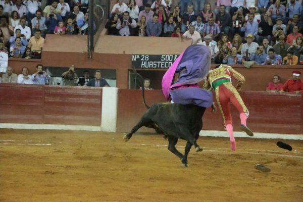 VIDEO Torero sufre aparatosa cornada en SLP VIDEO Torero sufre aparatosa cornada en SLP