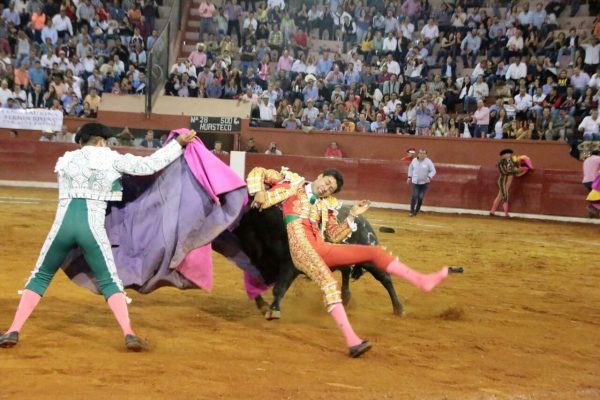 Torero Sergio Flores podría perder el brazo izquierdo tras cornada