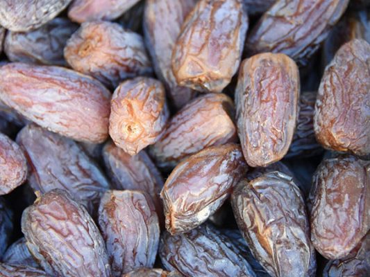 Logra Instituto de Ciencias Agrícolas casi tres toneladas de dátil producido esta cosecha
