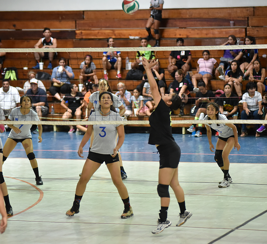 Será hasta el 30 de septiembre cuando arranque el Torneo de Novatos de voleibol organizado por el Club GIMA, por lo que aún hay oportunidad de inscribirse.