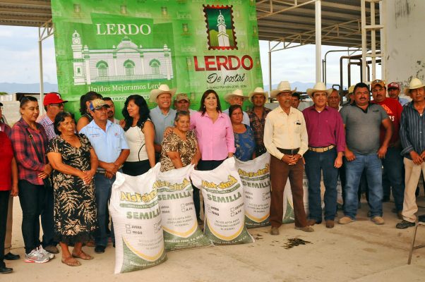 Durante la mañana de ayer martes, la alcaldesa María Luisa González Achem acompañada de funcionarios y regidores entregó treinta toneladas de semilla de avena para productores de Lerdo.