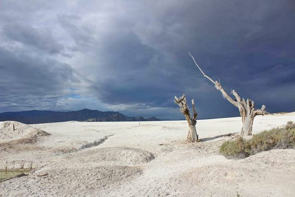 Un par de fotografías en las cuales aborda de manera crítica, sutil, precisa y contundente la realidad social actual, plena en contradicciones, paradojas y sinsentidos.