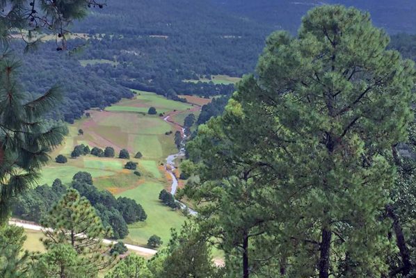 En el estado Durango, las cimas de la Sierra Madre Occidental invitan a disfrutar no solo de un increíble paisaje, sino también de una experiencia de vida con las diversas actividades ecoturísticas y de turismo cinegético que ofrece.