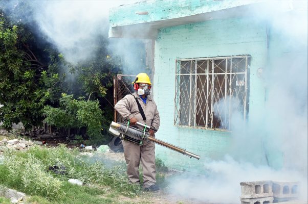 También hay nebulizaciones en lugares donde hay yerba, para terminar con el mosco que pueda ser transmisor del dengue.