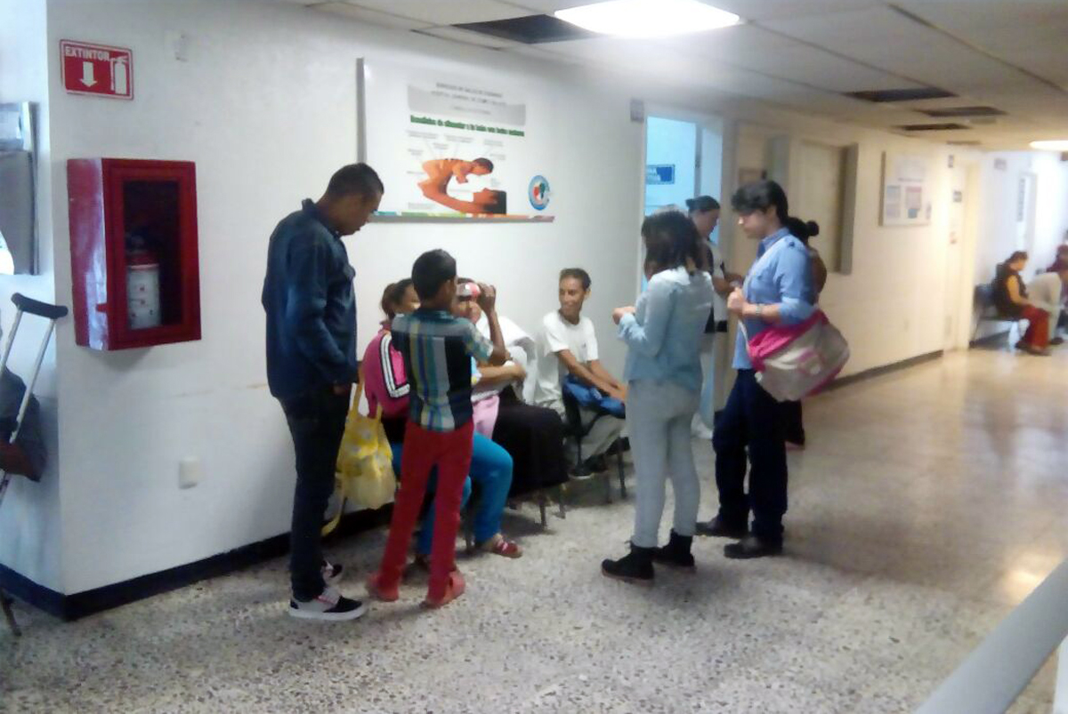 Mueren 3 personas a causa de rikettsia Mueren 3 personas a causa de rikettsia