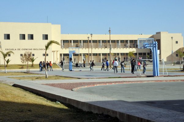 Con la presencia de 70 instituciones de nivel superior, La Laguna puede establecerse como un destacado clúster educativo.