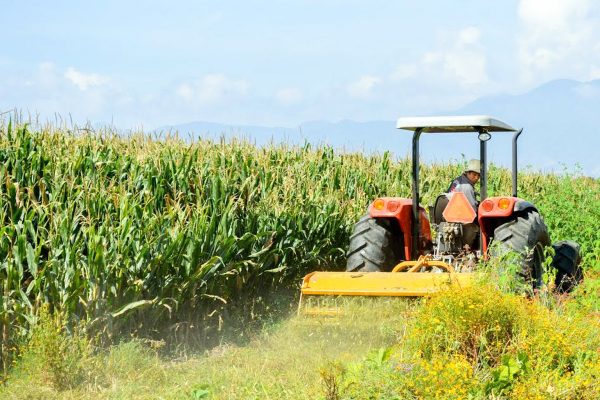 La producción agrícola se podría ver afectada en el país, de no bajar los insumos que el sector utiliza.