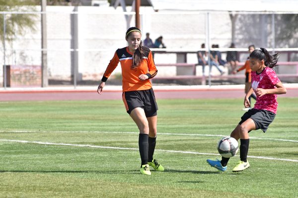 Venadas ocupa al cerrar la primera vuelta de la temporada regular la posición 2 de la tabla de posiciones.