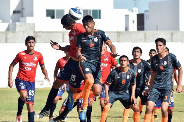 Reñido y muy disputado resultó el duelo entre Constructores y Cimarrones en la Segunda División Premier.