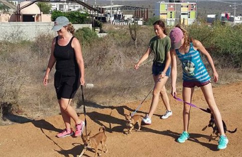 They are looking for volunteers to walk dogs - The Sudcaliforniano (press Release) 1 Se puede ayudar en horario matutino o vespertino. (Foto: Cortesía LCHS). / El Sudcaliforniano