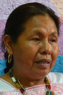 MARÍA DE J. PATRICIO MARTÍNEZ.