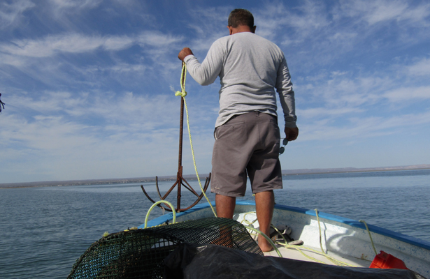 Pescadores de El Manglito, ejemplo de perseverancia