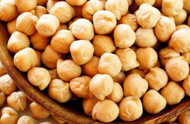 Esperan gran venta de garbanzo en el Valle de Santo Domingo