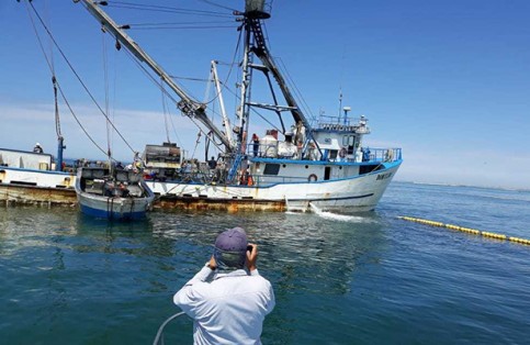 Aseguran barco sardinero en la Biósfera de Vizcaíno