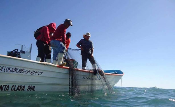 Pescadores del Golfo de Santa Clara dispuestos a experimentar