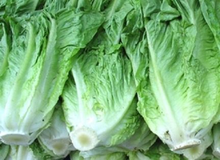 Intensifican revisión para evitar ingrese lechuga de Arizona